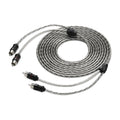 JL Audio Core Audio Interconnect 2Channel  12 0101346500