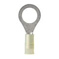 Ancor 1210 AWG  12 Nylon Ring Terminal  25Pack 210227